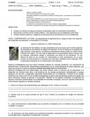 Prueba fotosíntesis y tramas alimenticias.