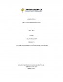 Actividad Nº 1 Procesos administrativos. Estructura y diseño organizacional