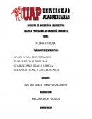 Caudal del rio azangaro.