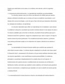 La organización curricular por competencias.