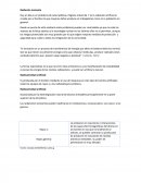 Tarea ensayo riesgos.