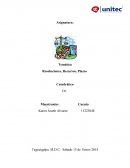 Trabajo de Investigacion Recurso de Reposicíon Murillo.