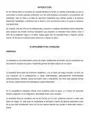La obesidad es una enfermedad crónica de origen multifactorial prevenible