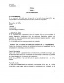 PENAL TEMA 1 LA CULPABILIDAD