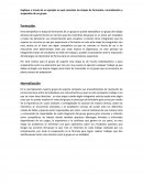 Explique a través de un ejemplo en qué consisten las etapas de formación, normalización y suspensión de un grupo