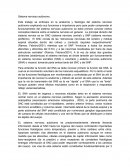 El sistema nervioso.