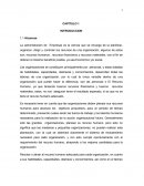 La administración de Empresas es la ciencia que se encarga de la planificar