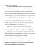 Importancia Sistemas de Información
