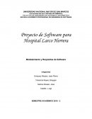 Proyecto de Software para Hospital Larco Herrera