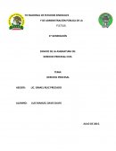 Ensayo de derecho procesal civil