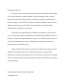 Descripción del Proyecto: Plan indigencia