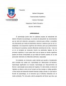 Ensayo de diseño educativo.