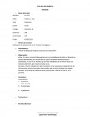 TEST DEL DFH INFANTIL