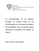 Mercado de abastos de Guadalajara: Análisis de la informalidad fiscal