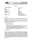 SILABO DE SEMINARIO DE TESIS