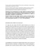 EXPERIENCIAS DEL PRIMER AÑO