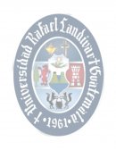 Introducción a la Dietoterapia Tamizaje del Riesgo Nutricional