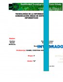 TECNOLOGÍAS DE LA INFORMACIÓN Y COMUNICACIÓN ÁREAS DE SISTEMAS INFORMÁTICOS