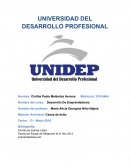 Casos de exito profesional