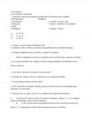 Actividad La justicia y equidad