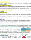 CRECIMIENTO Y BEENFICIOS DEL MKT DIRECTO: