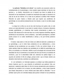 Mentes brillantes y estrellas en la tierra