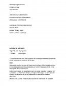 Psicología organizacional. Caso Ángela