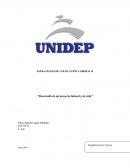 Desarrollo de mi proyecto laboral y de vida