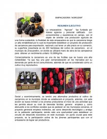 Formulacion y evaluacion de proyecto.. Página 1