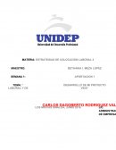 DESARROLLO DE MI PROYECTO LABORAL Y DE VIDA”