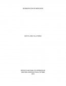 Análisis Segmentación de Mercados, para optar por el título de Tecnólogo en Gestión Logística.