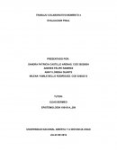 Trabajo final Epistemologia.