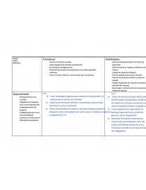 Proyecto 1 - Matriz DOFA. Página 1