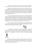 Informe escuela programa y salud