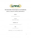 Materia Persona Administrativa.