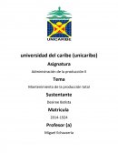 Mantenimiento de la producción total