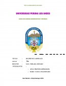 REGIMENES LABORALES