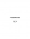 Análisis de cuentas y saldos.