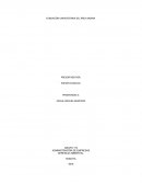 Administración de empresas. Gerencia ambiental