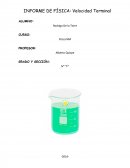 En esta prueba de laboratorio se experimenta el movimiento de una canica, la cual baja por un beaker, que contiene 500ml de jabón líquido y se puede observar que el movimiento es en línea recta