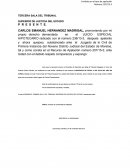 AMPARO DIRECTO CIVIL