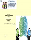 LA ESTRUCTURA ORGANIZACIONAL Y EL PLAN OPERATIVO.