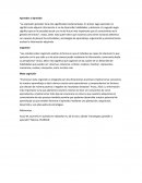 Aprender a Aprender. La expresión aprender tiene dos significados fundamentales.