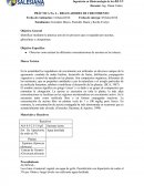 PRÁCTICA No. 4 – REGULADORES DE CRECIMIENTO