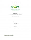 The gillette company