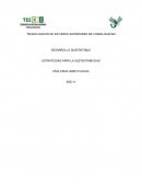 DESARROLLO SUSTENTABLE ESTRATEGIAS PARA LA SUSTENTABILIDAD