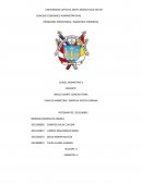 PLAN DE MARKETING DE “PISCO CAMANÁ”