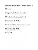 Liderazgo. Teoría Organizacional