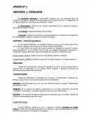 ANATOMIA y FISIOLOGÍA