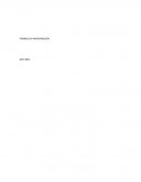 Metodologías de la Investigación Social